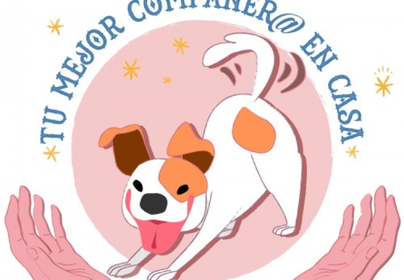 AFIRMA CONSEJO CIUDADANO QUE PERROS SON “MEJORES AMIGOS” DE LA SALUD MENTAL EN EL CONFINAMIENTO